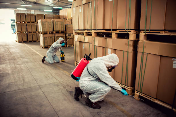 Best Best Pest Control Companies  in Belford, NJ
