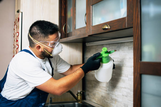 Best Cockroach Control Services  in Belford, NJ