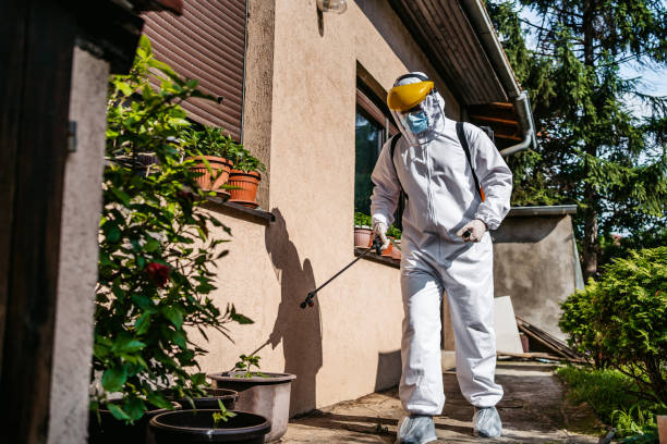 Best Residential Pest Control  in Belford, NJ