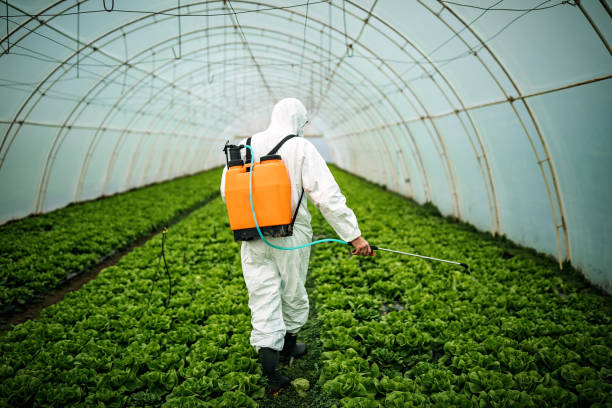 Best Emergency Pest Control  in Belford, NJ