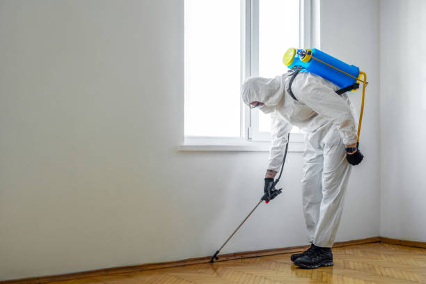 Best Commercial Pest Control Services  in Belford, NJ