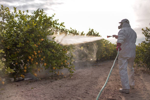 Belford, NJ Pest Control Company