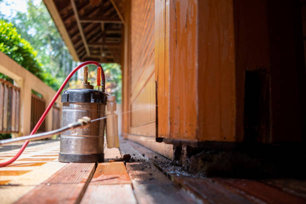Best Mosquito Control Services  in Belford, NJ