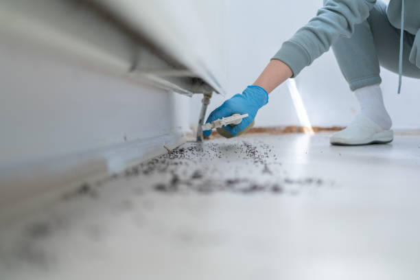 Best Wildlife Control Services  in Belford, NJ